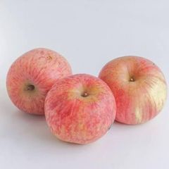Premium Fuji Apples for Export – Crisp, Sweet and High-Quality Fresh Apples for EXport - Image 6