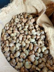 High Quality Raw Cashew Nuts for Snack Manufacturers Bakeries Confectionery Production - Image 1