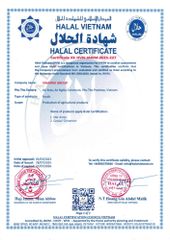 HALAL certificate from Vinapro
