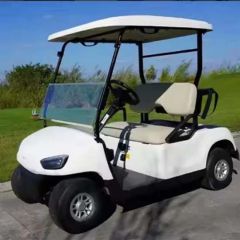24V Electric Car Golf Cart Electric Golf Trolley Golf Equipment - Image 5