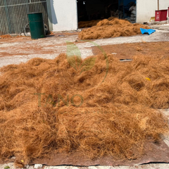Coco Fiber for Industrial - Image 2