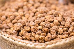 Tiger Nuts Naturally Sweet Crunchy Snack With Rich Flavor Ideal For Healthy Eating Retail And Food Ingredient Supply - Image 5