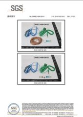 Qualified ESD Antistatic Wrist Strap passed SGS testing certificate from Ergas Technology Co., Ltd.