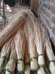 Peel Of Rattan - Image 2