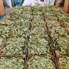 Turkish Dried Bay Leaves (Laurus nobilis L.) — Semi Select & FAQ Pressed Bale - Image 2
