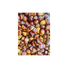 Fresh Chestnut/High Quality Fresh Chestnut/Fresh Peeled  - Image 4
