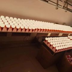 Dimmable Poultry Lamp for Chicken Growing Pig Animal Growing LED Poultry Light - Image 5
