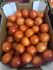 Tomates round - Image 1