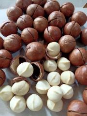 [ Free sample ] High Quality 100% Macadamia nuts cracked dried size 22mm - 25mm origin Vietnam service private label for healthy - Image 6