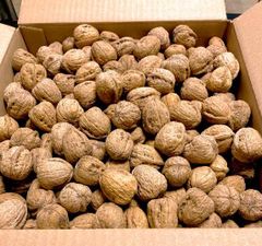 Azerbaijani Walnuts - Image 2