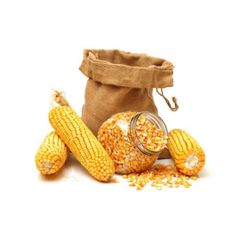 High Yield Yellow Corn With Exceptional Color Yellow Corn Ideal For Industrial Processing And Large Scale Procurement - Image 1