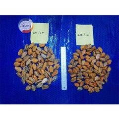 Frozen live shellfish without shell green mussel meat Style FROZEN Packaging Box Weight (kg) 10 Address Fujian Ingredients - Image 4