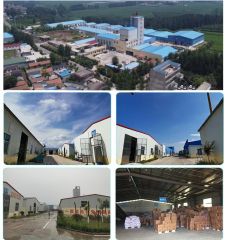 Factory pictures certificate from Shandong Fuhai Silk Road Trading Co., Ltd.