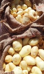 Fresh Potato – product photo 4, product detail gallery