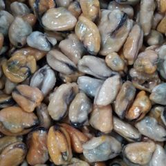 frozen cooked mussel with half shell Style FROZEN Weight (kg) 1 Address China Packaging Bulk Content MUSSEL Ingredients - Image 2