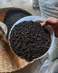 Black Pepper (Lada Hitam) – product photo 4, product detail gallery