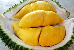 Durian – product photo 2, product detail gallery