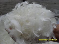 duck feather - Image 1