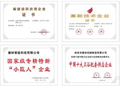 Domestic Certificate certificate of Delin Intelligent Technology Co., Ltd. – certificate photo, supplier certificates section