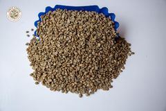 ARABICA COFFEE BEANS - Image 3