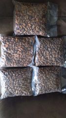 Cocoa beans whole - Image 2