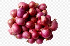 SHALLOT ONION Packaging MESH BAG Grade Top Quality Export - Image 1