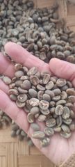 Arabica Gayo Grade Specialty – product photo 1, product detail gallery