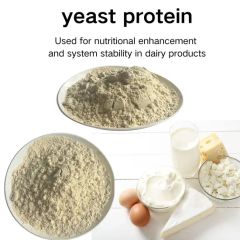 Organic Yeast Protein Powder, Plant - Based Nutrition Source Model NO. F80EC Resource Natural HS Code 2102100000 Origin Fujian, - Image 1