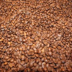 Farm Selected Robusta Coffee Bean For Large Scale Buyers Expecting Clean Processing Robusta Coffee Bean Quality - Image 3