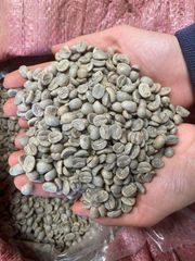 Premium Tanzanian Robusta Coffee Beans – Screen 14–18 | 100 MT Available - Image 3
