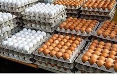 Brown And White Chicken Eggs Wholesale Supply – product photo 1, product detail gallery