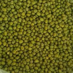 Green Mung Beans Grade A, Wholesale Bulk Supply, Cheap and High Quality – product photo 5, product detail gallery