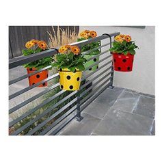 Exclusive quality metal planter pot Wholesale Indoor Outdoor Farmhouse decorative item customized size and sale - Image 5