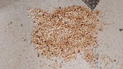 Sesame, Ground nutaize - Image 3