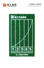 Chinese Manufacturers Shock Absorbent Rubber Running Track for Key Universities - Image 4