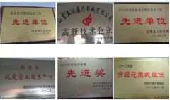 Certification certificate from Shandong Wuzhou Medical Equipment Co., LTD