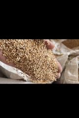 sesame seeds – product photo 1, product detail gallery