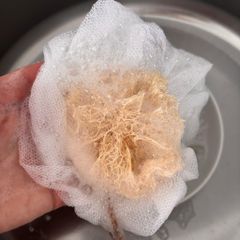 Sponge Gourd Material Loofah Texture Natural Plastic Free Plastic-free Biodegradability - Image 1