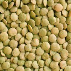 Dried Lentils - Image 4