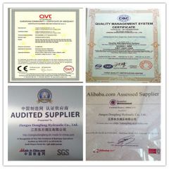 DONGFANG PRODUCTS CERTIFICATE certificate from Jiangsu Dongfang Hydraulic Co., Ltd.