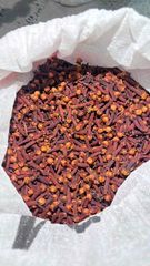 Indonesian Whole Cloves – Zanzibar AB 6 & Lalpari AB 6 | Bulk Export Supply – product photo 2, product detail gallery