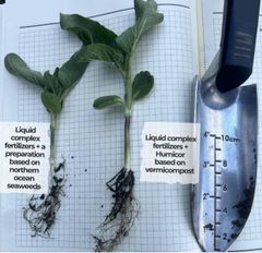 Biostimulant from vermicompost Humicor - Image 4