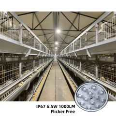 Safe Lighting Dimmable DC36V LED Poultry Light Bulb for Chicken Farm - Image 1