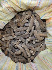 Dry Sea Cucumber - Image 1