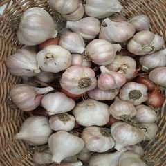 Pure Natural Fresh White Garlic Delivered With Premium Bulb Selection And Export Packing Standards For Import Buyer - Image 3