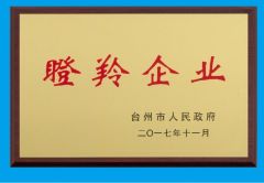 Gazelle enterprise certificate from Yanpai Filtration Technology Co., Ltd.