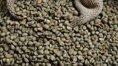 Indonesian Arabica Green Coffee Beans – Specialty Fully Washed | North Sumatra – product photo 1, product detail gallery