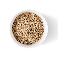 Non-GMO sorghum grains sourced from trusted farms for global markets - Image 3