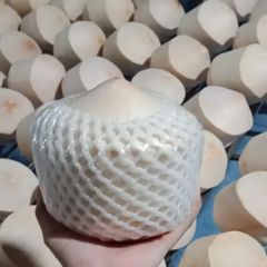 Vietnam Diamond Coconut – product photo 1, product detail gallery