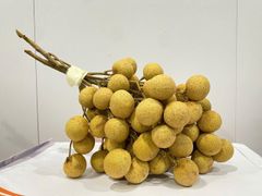 Fresh Logan – product photo 2, product detail gallery